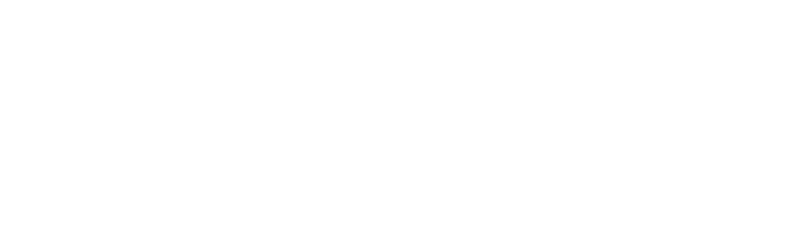 Casiny cazino logo